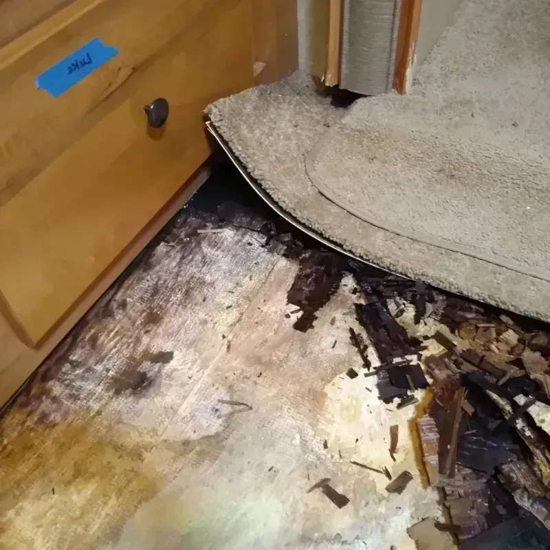 Wood Floor Water Damage in Miamisburg, OH